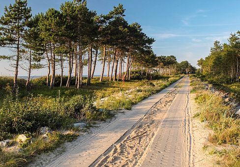 Ścieżki piesze i rowerowe